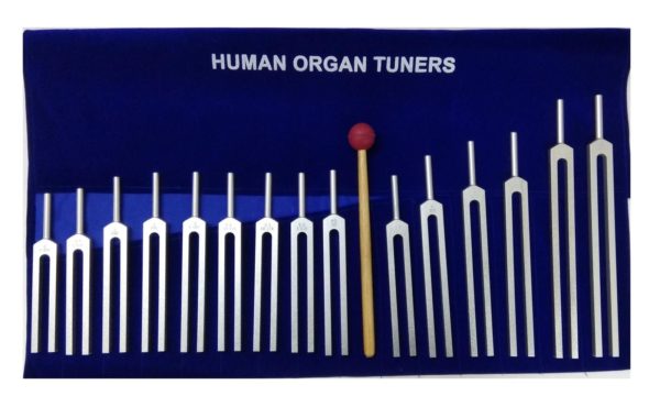 The Human Organ Tuning Forks Set