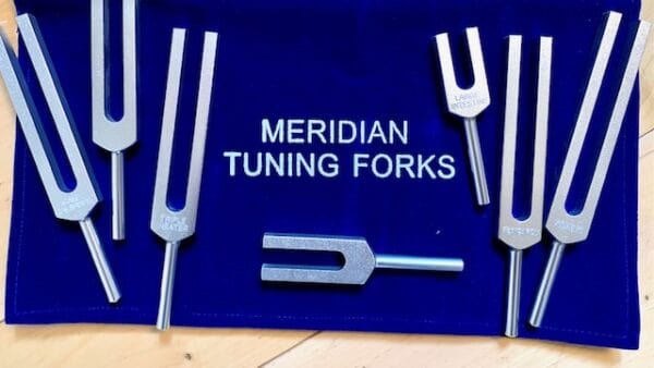 Set of 14 Meridian Tuning Forks